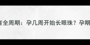 胎儿眼睛发育全周期孕几周开始长眼珠孕期关键时间点
