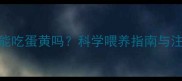 8个月宝宝能吃蛋黄吗科学喂养指南与注意事项全